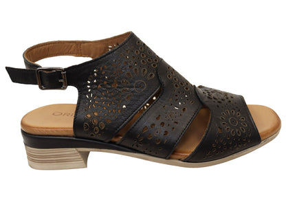 Orizonte Lotusloop Womens Comfort European Leather Low Heel Sandals